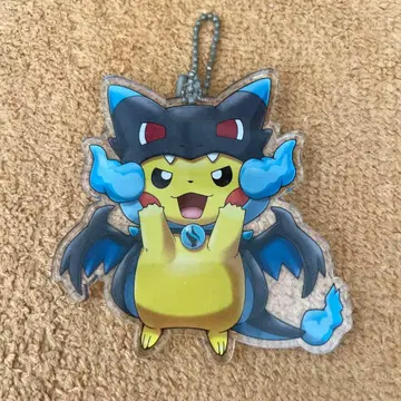 메가리자몽X의 판초를 입은 피카츄 아크릴 참 키링