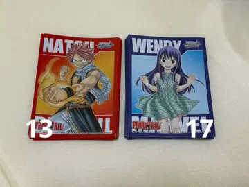 바이스 슈바르츠 페어리 테일 슬리브