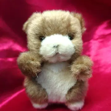 타케노코 조이풀 메이트 곰 봉제 인형