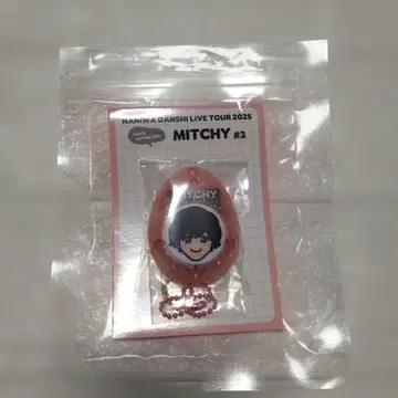 미치에다 슌스케 보이스 키링