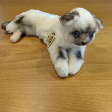 독일 KOSEN사 봉제 인형 네소베리 고양이 히말라얀 약 35cm