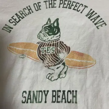 TES 서핑 T셔츠 화이트