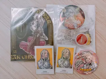 [ 묶음 판매 ] 카리스마 테라 아크릴 스탠드 캔뱃지 폴라로이드풍 카드