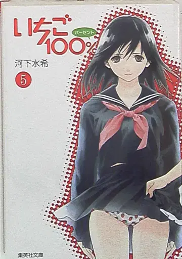 슈에이샤 슈에이샤 문고 코믹판 카와시타 미즈키 딸기 100% 문고판 5