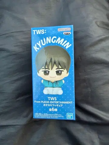 [개봉발송] TWS 오스와리 피규어 KYUNGMIN