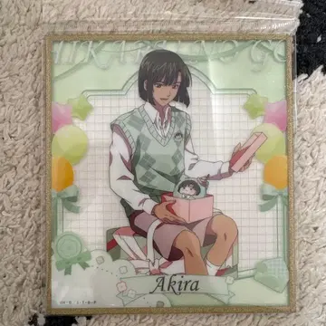히카루의 바둑 타카야 아키라 아크릴 색지 파티 ver.