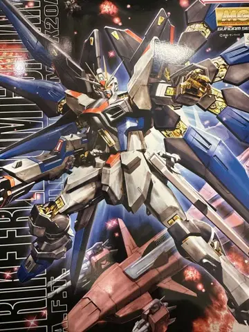 MG 1/100 스트라이크 프리덤 건담 조립 완료