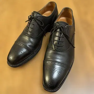 스코치 그레인 샤인 오어 레인 24cm