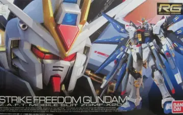 반다이 RG SEEDDESTINY 스트라이크 프리덤 건담
