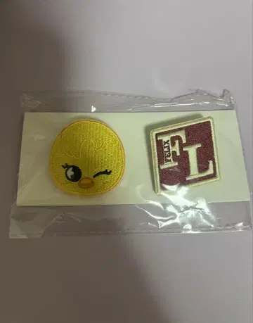 StrayKids 스키즈 멘프로 필릭스 자켓 핀 배지