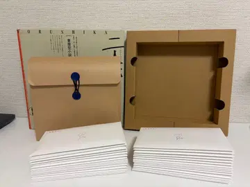 이인칭 요루시카 서간형 소설