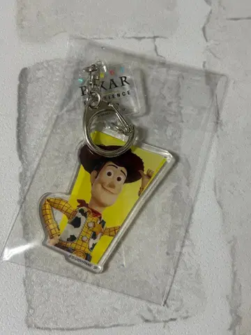 디즈니 픽사 세계전 아크릴 키링 우디 토이스토리