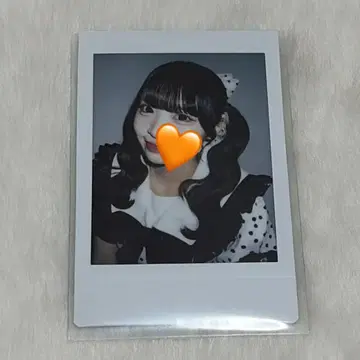 iLiFE! 코구마 마무 두근거림 의상 란체키