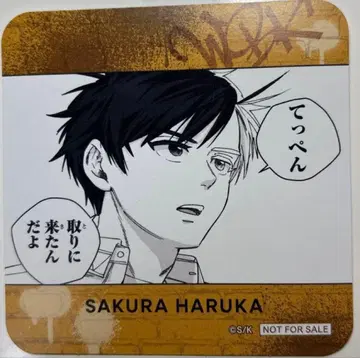 WIND BREAKER 윈브레 윈브레전 코스터 사쿠라 하루카