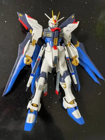 건담 프라모델 mg 스트라이크 프리덤