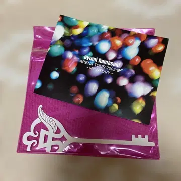 하마사키 아유미 ARENA TOUR 2005 사진집