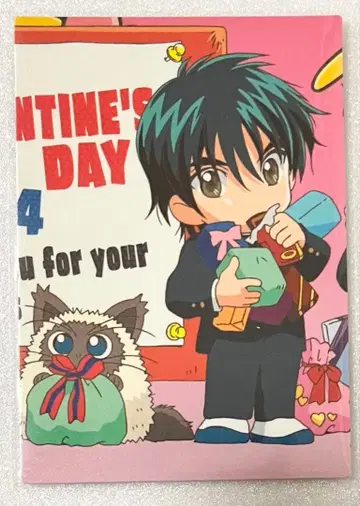 테니스의 왕자님 트레이딩 카드 에치젠 료마