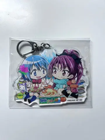 마도카 마기카 10주년 기념 굿즈 아크릴 키링 시즈오카 한정판