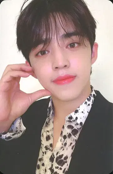 SEVENTEEN 2021 시즌 그리팅스 S.COUPS 트레이딩 카드