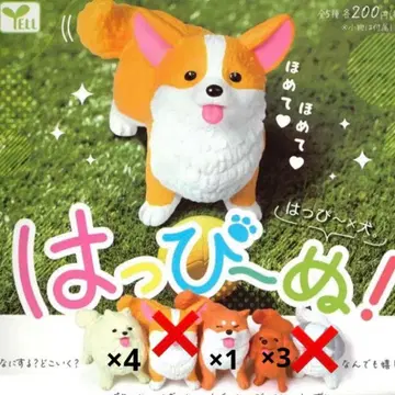 해피누! 포메라니안 시바견 닥스훈트