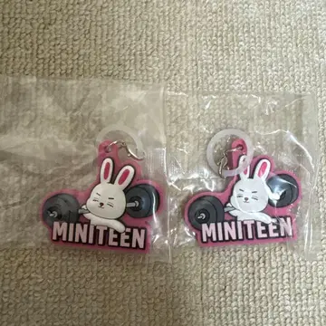 세븐틴 체리 메지루시 참 에스쿱스 2개