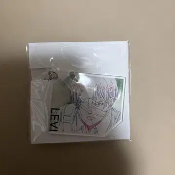 진격의 거인 리바이 원화 아크릴 키링 컬렉션 MAPPA