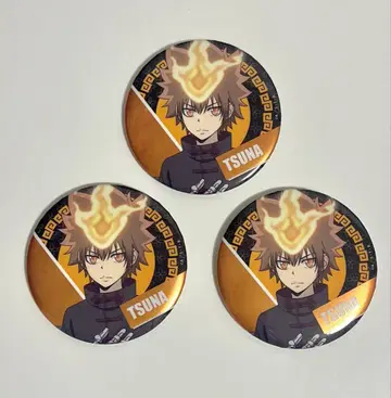 가정교사 히트맨 REBORN! 리본 오시아도 사와다 츠나요시 캔뱃지