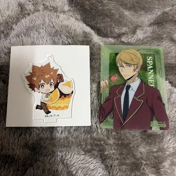 가정교사 히트맨 REBORN! 리본 스프링 페어 츠나요시 스패너