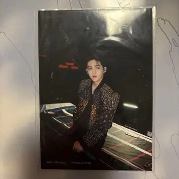 SEVENTEEN 에스쿱스 비자선 사진전 한정판 사진