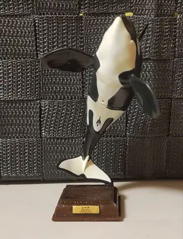 네이처 테크니컬러 남극 범고래