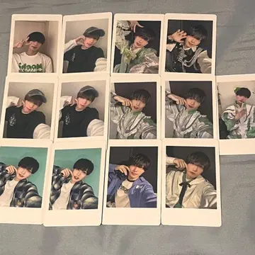 말랑말랑 토라 하피카