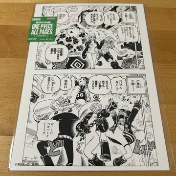 ONE PIECE 올 페이지 상디 우솝 스튜시 에그헤드
