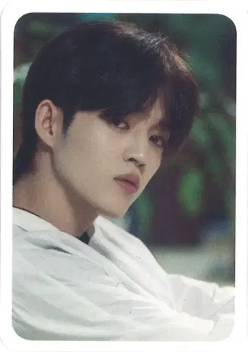 SEVENTEEN D'ICON S.COUPS 클리어 카드