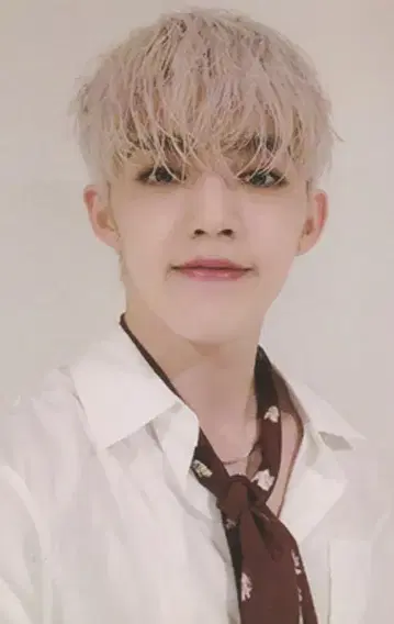 SEVENTEEN An Ode S.COUPS 트레이딩 카드 화이트