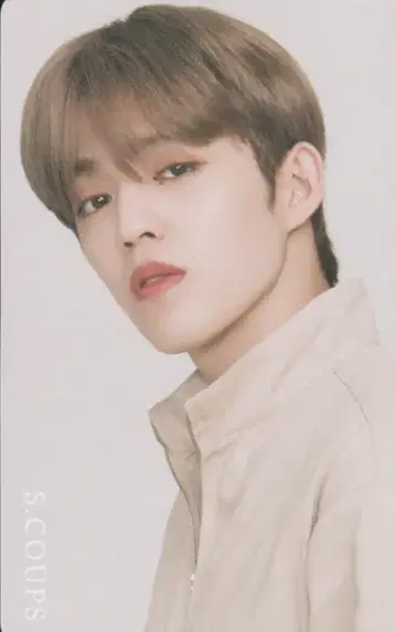SEVENTEEN An Ode S.COUPS 트레이딩 카드