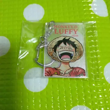 편광 펄 아크릴 키링 컬렉션 루피