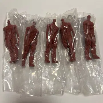 제일복권 진격의 거인 I상 땅울림 피규어 5체 세트