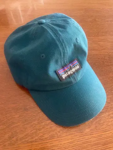 파타고니아 틸 그린 캡