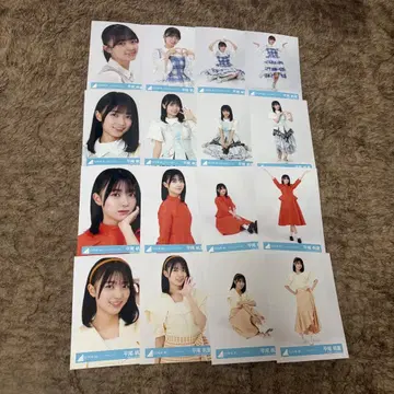 히라오 호노카 16종 컴프 히나탄사이 몽그루 JOYFUL 파스텔