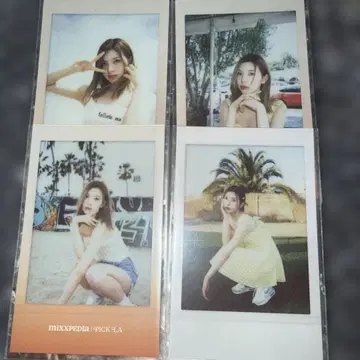 엔믹스 베이 트레이딩 카드