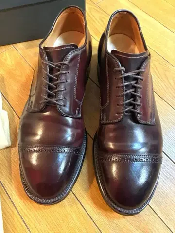 알든 모디파이드 라스트 코도반