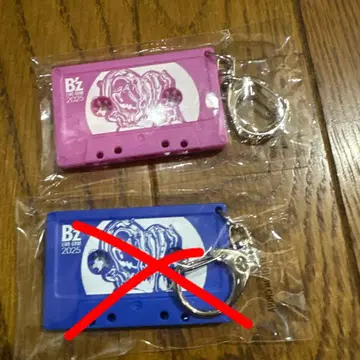 B'zLIVE-GYM2025FYOP 도쿄돔 12/7 카세트 참