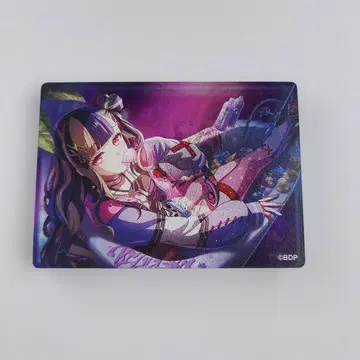 뱅드림 아크릴 블록 vol.8 파레오