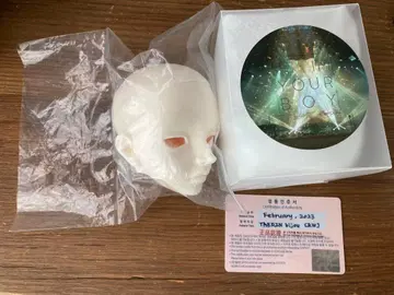 인형 헤드 fromswitch taerin bijou RW