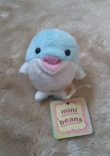 미니 콩 돌고래