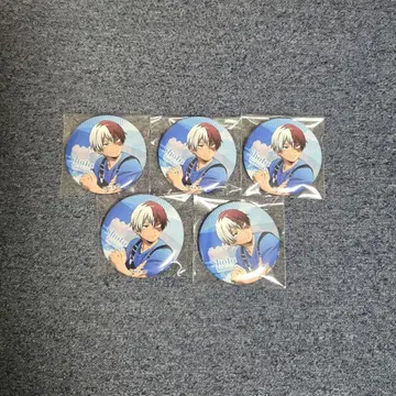 히로아카 토도로키 쇼토 히어로 플라자 캔뱃지