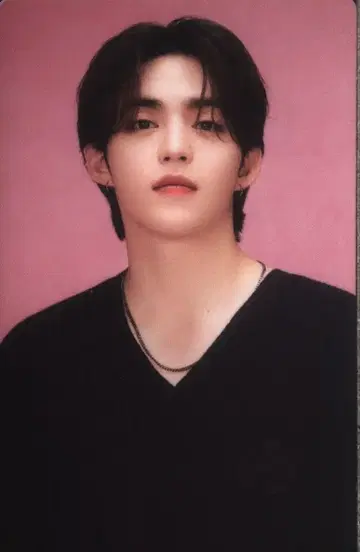 SEVENTEEN S.COUPS 2024 CARAT LAND 5/87