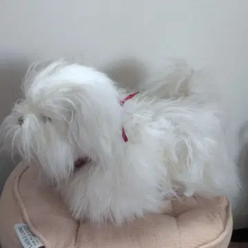 헤이세이 레트로 강아지 움직이는 봉제 인형 SEGA TOYS