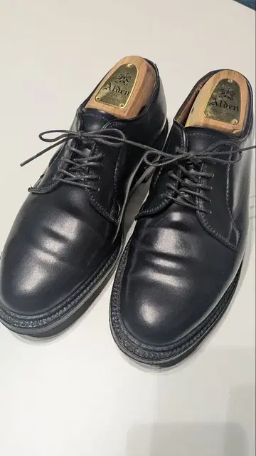 대인기! Alden 알든 [ 9901 ] 코도반