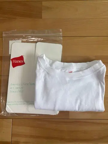 HANES/헤인즈 SLOBE 별주 2STYLES PACK TEE